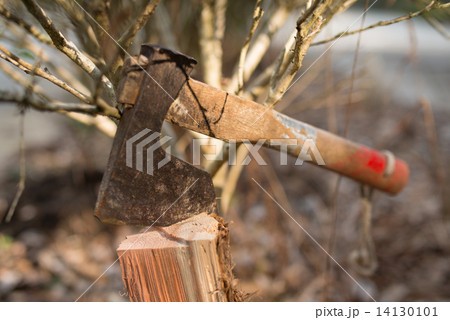 薪に刺さった古びた斧 14130101