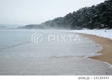 気比の松原 冬景 気比の松原 冬景 14130445