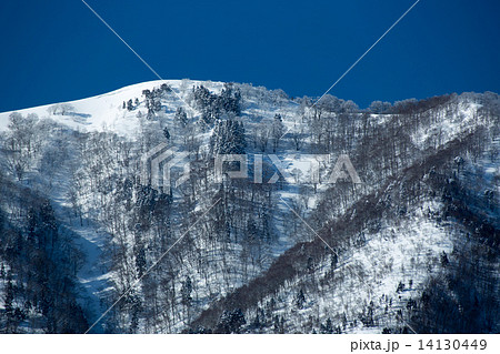 野坂山　冬景 14130449