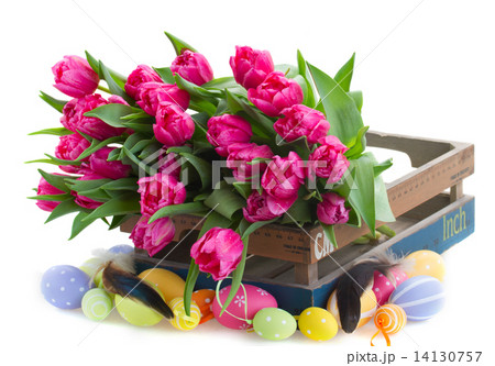 pile of pink tulip flowers with easter eggs pile of pink tulip flowers with easter eggs 14130757