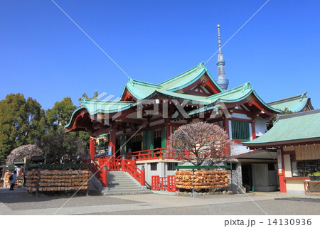 亀戸天神社 14130936