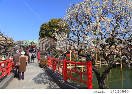 亀戸天神社 亀戸天神社 14130940