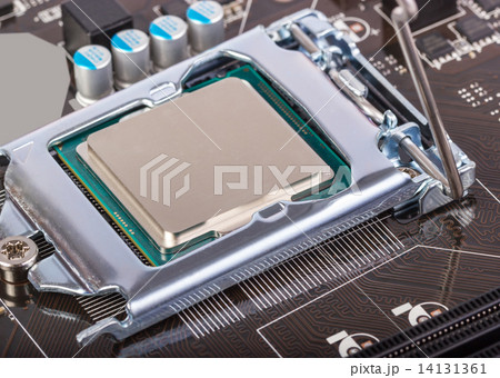 Electronic collection - CPU socket on motherboard 14131361