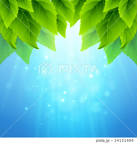 Spring fresh green leaves. Vector illustration 14131404