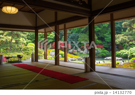 青蓮院門跡　相阿弥の庭 14132770