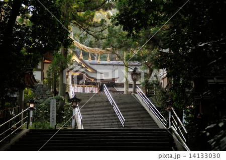 大神神社　拝殿 14133030