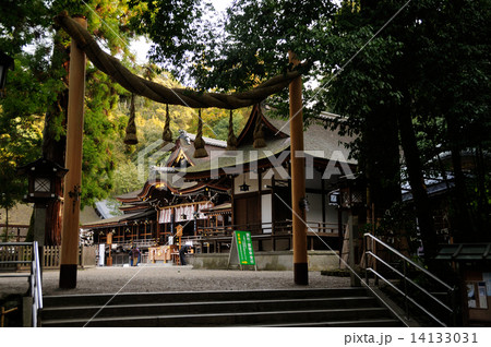 大神神社 拝殿 大神神社 拝殿 14133031