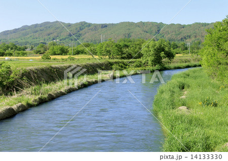 春の小川 14133330