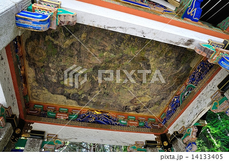 東照宮の鳴竜 東照宮の鳴竜 14133405