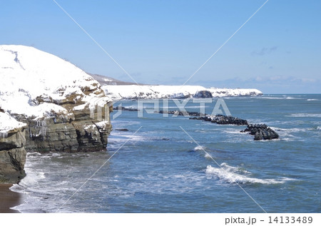 冬の海岸 14133489