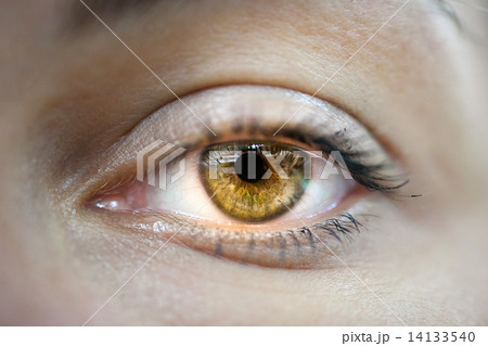 Yellow female eye macro Yellow female eye macro 14133540
