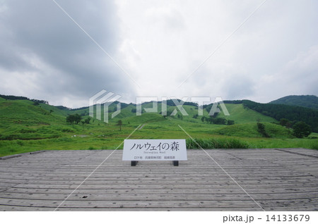 砥峰高原 14133679