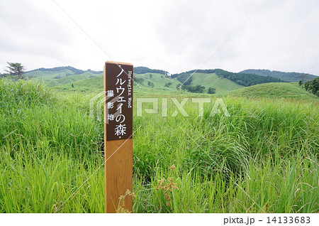 砥峰高原 14133683