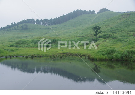 砥峰高原 14133694