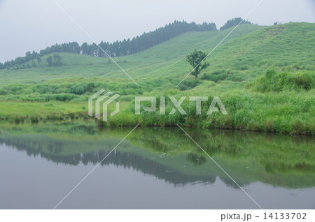 砥峰高原 14133702