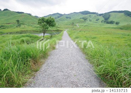 砥峰高原 砥峰高原 14133715