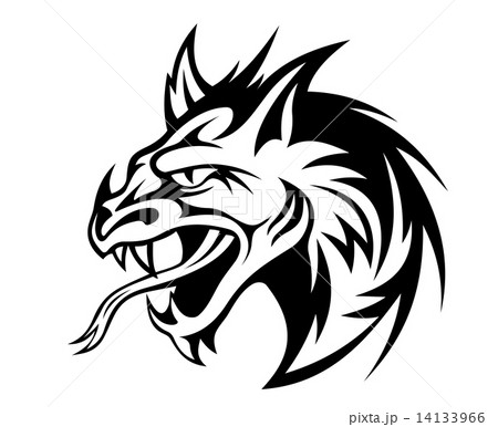 Angry dragon Angry dragon 14133966