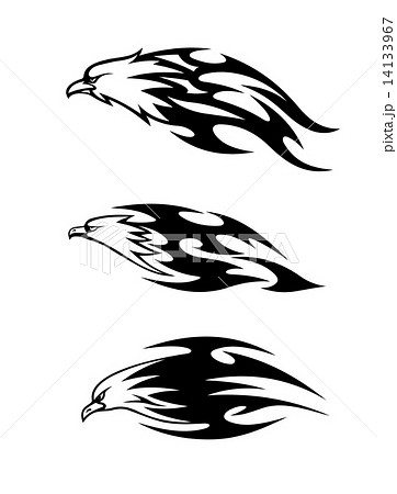 Eagle tattoos with flames Eagle tattoos with flames 14133967