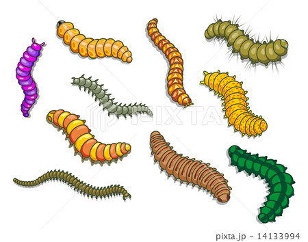 Cartoon worms 14133994
