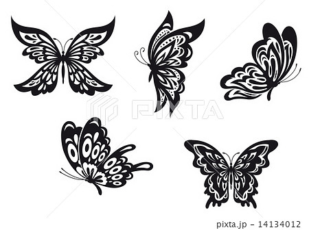 Butterfly Tattoosのイラスト素材