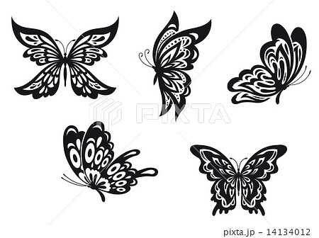 Butterfly Tattoosのイラスト素材 14134012 Pixta