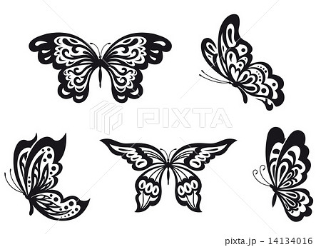 Butterflies Setのイラスト素材