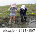 田植え体験 14134607
