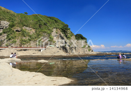 江の島稚児ヶ淵 14134968