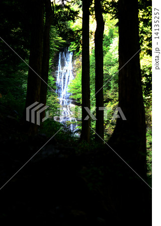 唐沢の滝 唐沢の滝 14135257