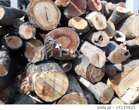 間伐材 14135625