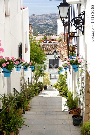 花飾りの小道 花飾りの小道 14135668