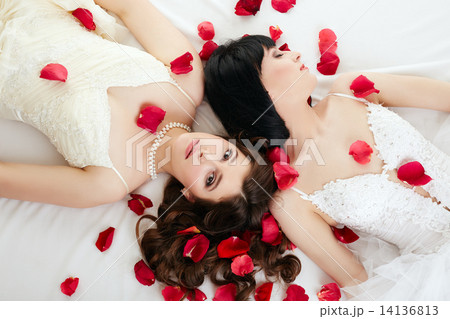 Top view of beautiful brides with rose petals 14136813