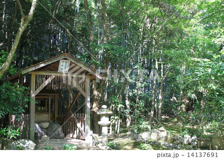 地蔵院 地蔵院 14137691