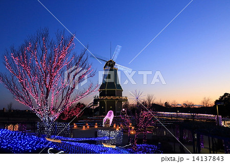 水郷桜イルミネーション 水郷桜イルミネーション 14137843