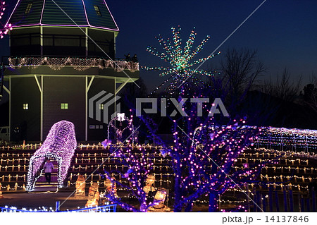 水郷桜イルミネーション 水郷桜イルミネーション 14137846