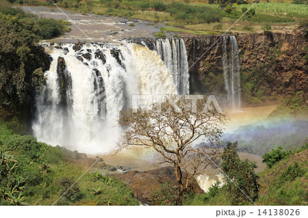 Blue Nile falls, Bahar Dar, Ethiopia 14138026