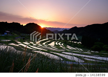 棚田の朝日 棚田の朝日 14138599