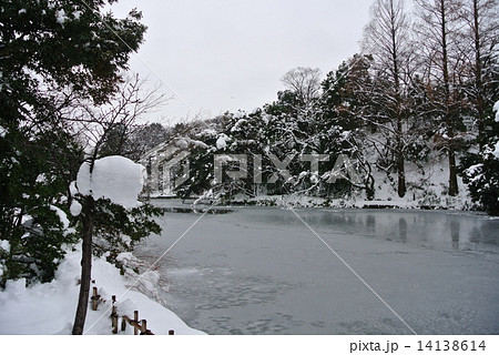 富山県の高岡古城公園 富山県の高岡古城公園 14138614