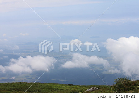 夏の伊吹山 14138731