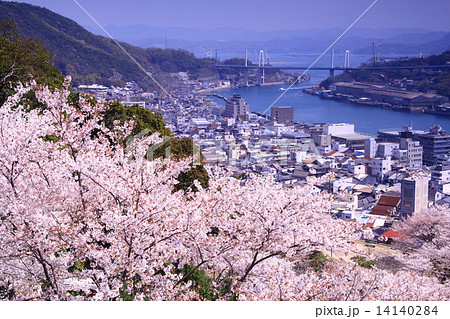 桜咲く千光寺公園（尾道）から尾道水道の展望 14140284
