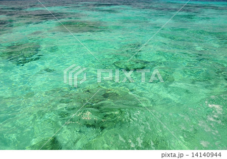 アジアの透明な海 14140944
