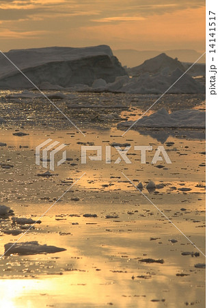 グリーンランド氷河白夜クルーズ（Glaciers in Greenland - the midnight sun tour) 14141517