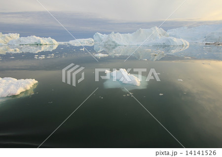 グリーンランド氷河白夜クルーズ（Glaciers in Greenland - the midnight sun tour) 14141526