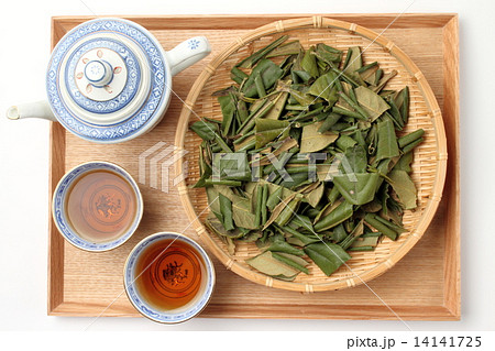 枇杷茶 14141725