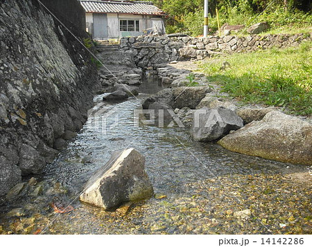 ぶつぶつ川 14142286