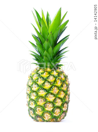 pineapple pineapple 14142905
