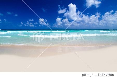tropical sea tropical sea 14142906
