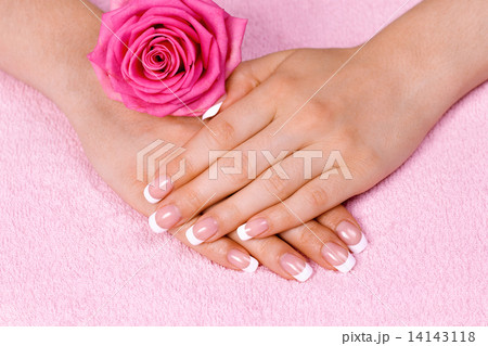 Beautiful female hands with french manicure  14143118