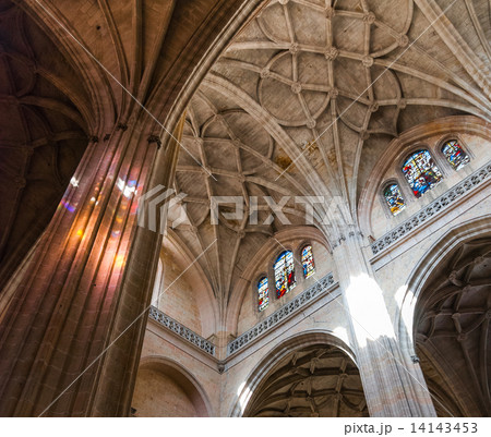 The colossal Segovia Cathedral The colossal Segovia Cathedral 14143453