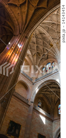 The colossal Segovia Cathedral 14143454